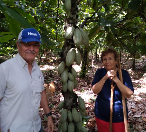 Cacao beans Origin Finca Santamaria Image