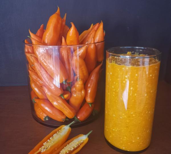 Peruvian Yellow Image