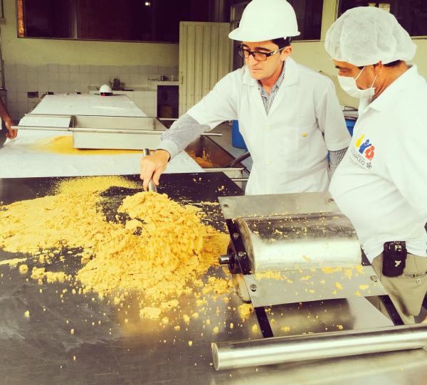 POWDERED PANELA Image