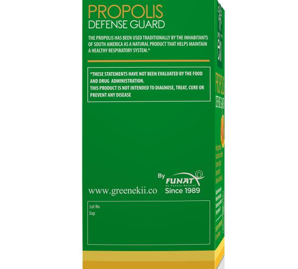 Immune system boost, cough, cold, flu, throat syrup 8.1 fl oz (240ml) Image