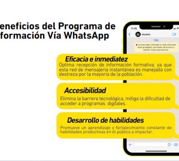 High impact training programs Image