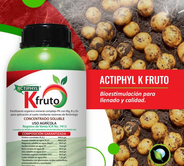 Actiphyl Kfruto Image