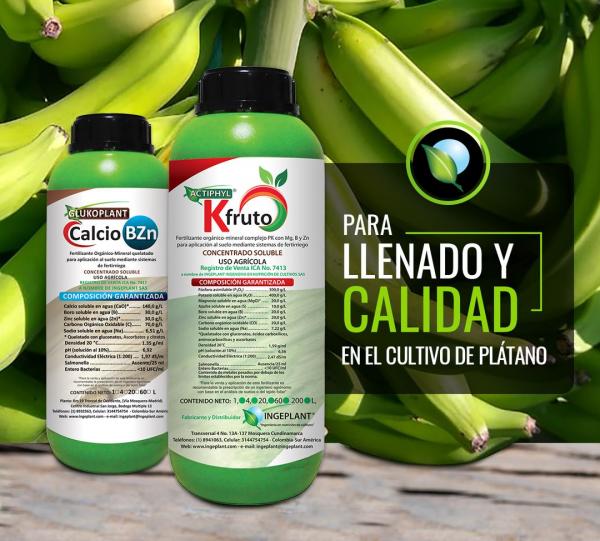 Actiphyl Kfruto Image