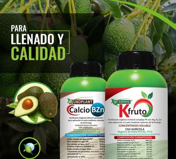 Actiphyl Kfruto Image