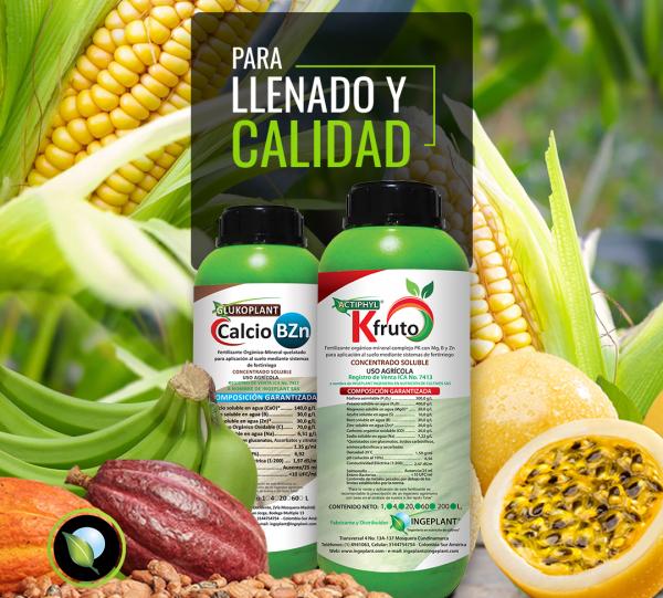 Actiphyl Kfruto Image