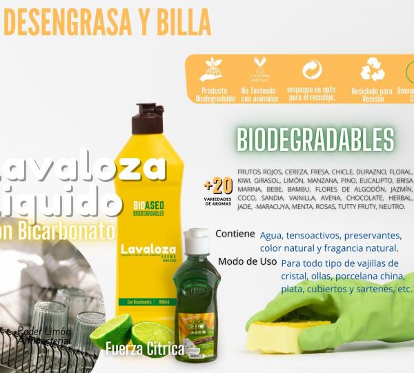 LIQUID DISHWASHING SOAP Image