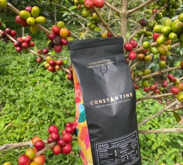 Traditional roasted specialty coffee beans or ground x 500 gr Image