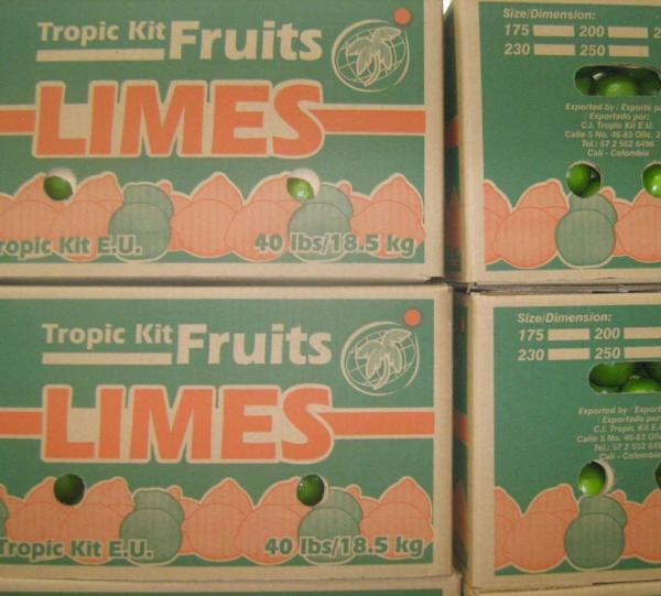 perdian limes- tahiti limes Image