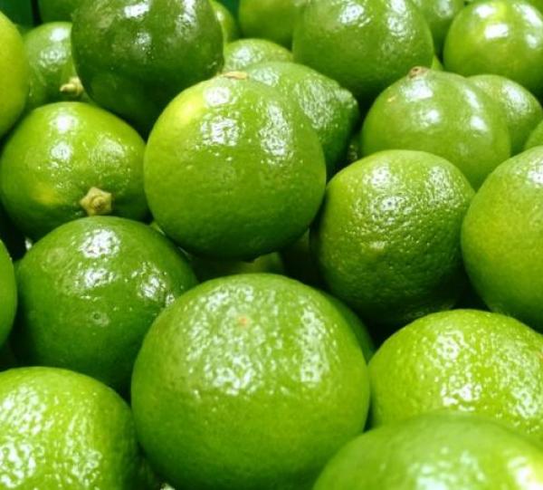 LEMON TAHITI FOR EXPORT Image