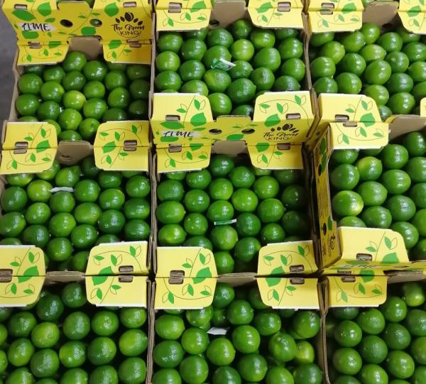 Lime Thahiti / Arabic Lime Image