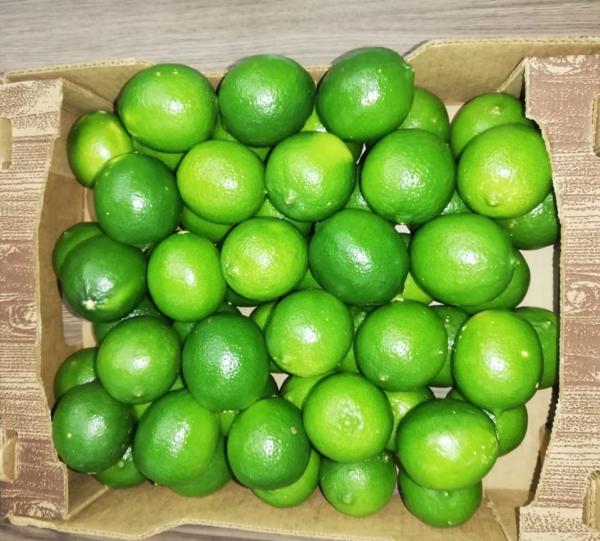 Lime Tahiti Image