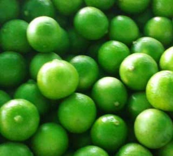 LEMON TAHITI FOR EXPORT Image