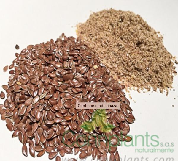 Flaxseed Image
