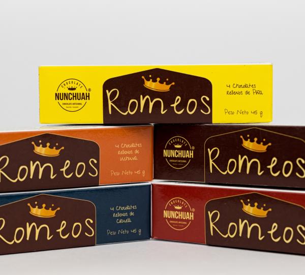 Chocolate cubes + dehydrated fruit Image