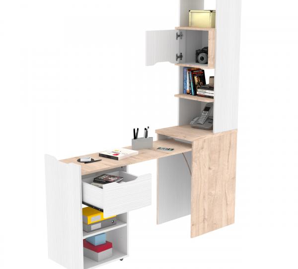 EXTENSIVE LIBRARY Image