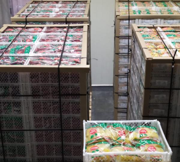 FROZEN FRUIT PULP 100% NATURAL Image