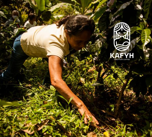 El Ingenio Green specialty Colombian coffee beans Image