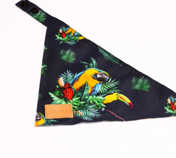 BANDANA Image