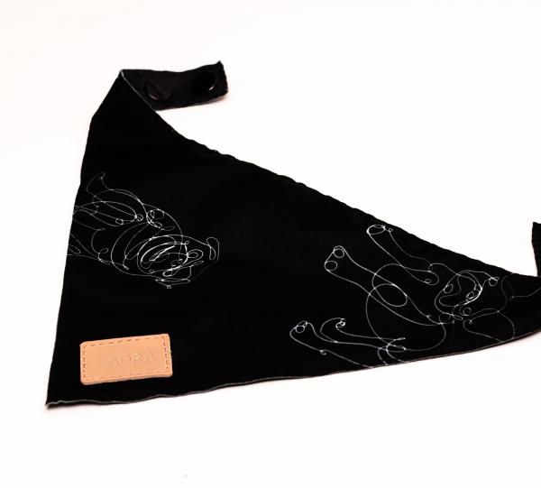 BANDANA Image