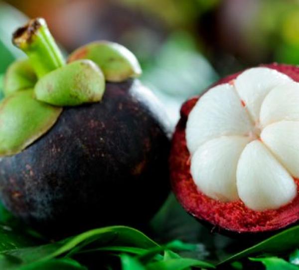 Mangosteen Image