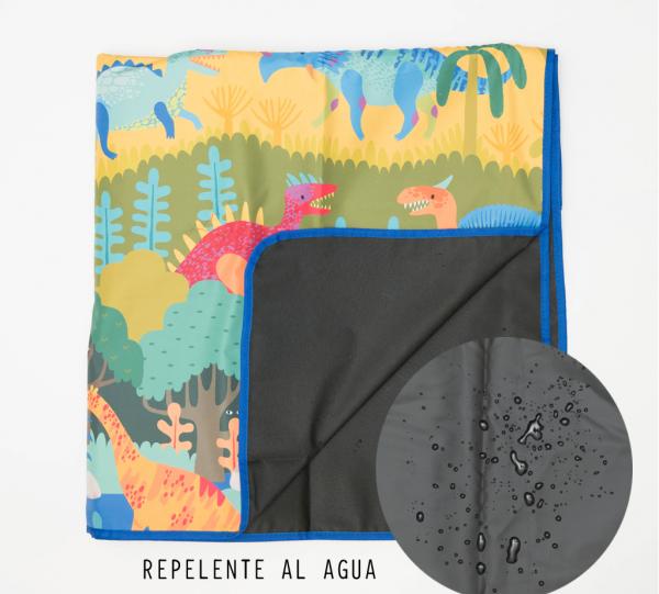 Picnic Blanket Image