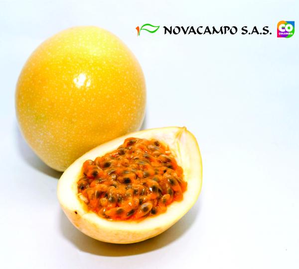 Passion Fruit Image