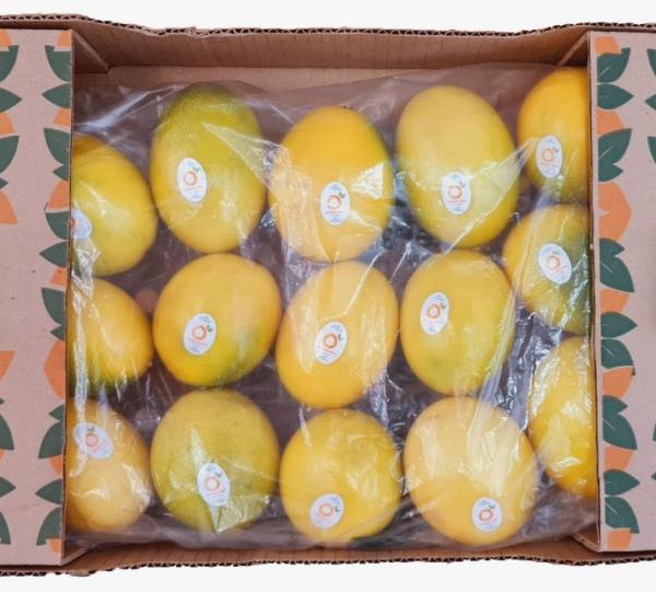 Yellow passion fruit Image