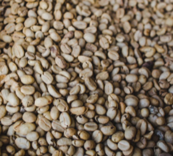 UGQ Special Coffee cup score 83-84 Image