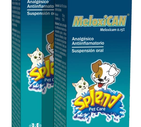 Splend Meloxican Image