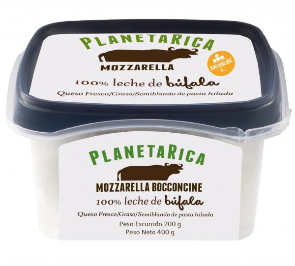 Mozzarella Image