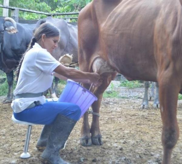 TAVITA Slef-portable high Image