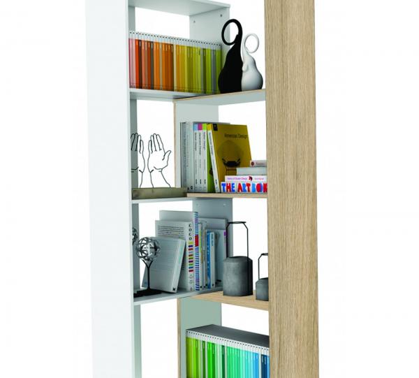 AMATISTA LIBRARY Image