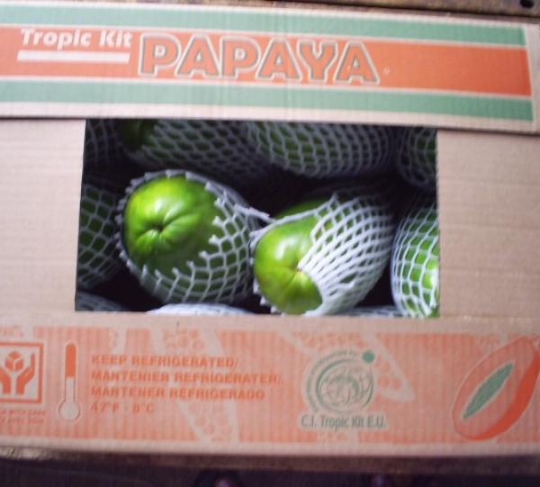 PAPAYA Image