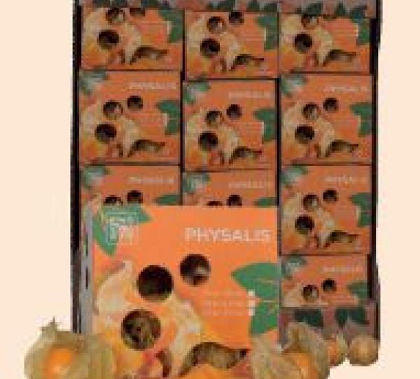 Physalis Image