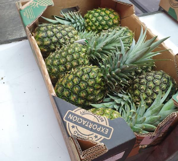Golden MD2 Pineapple | ETATECH SAS| Colombian B2B Marketplace