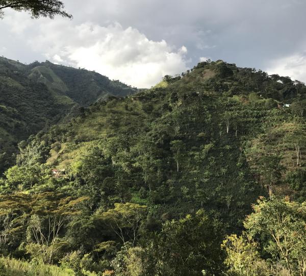 Regional Blend Image