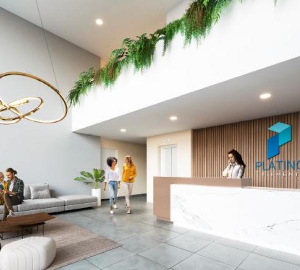 Platino Element Image