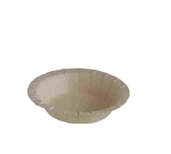 Sugarcane bagasse dishes Image