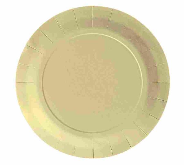 Sugarcane bagasse dishes Image
