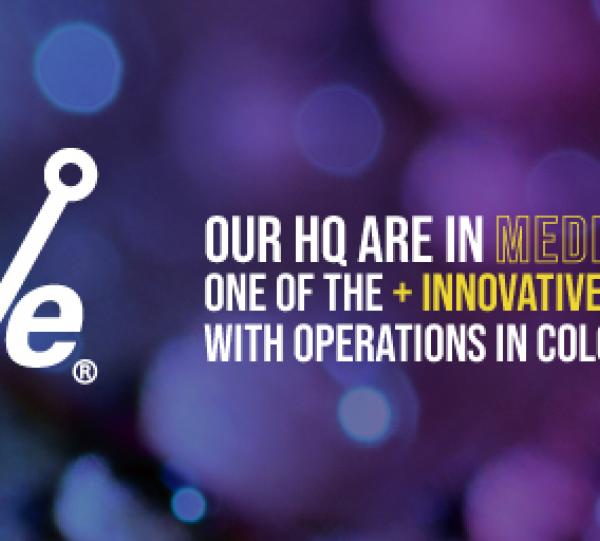 RUNFALCON - PERFORMANCE TEST AUTOMATION Image