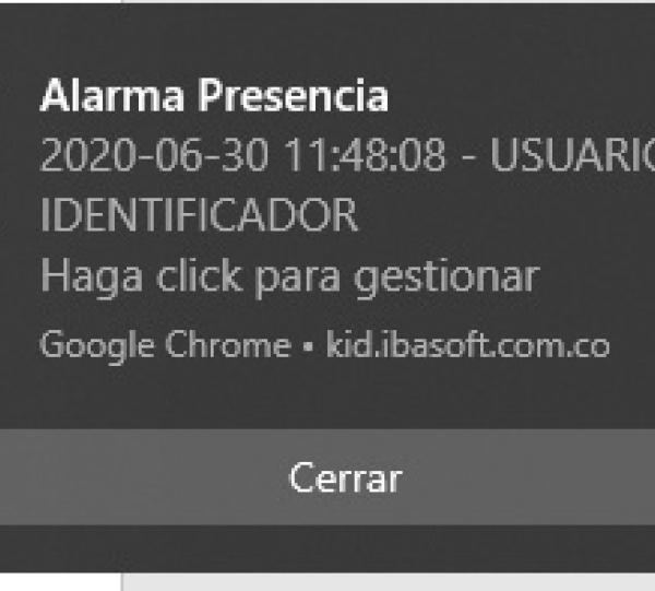 Kontrolid - Presence Image