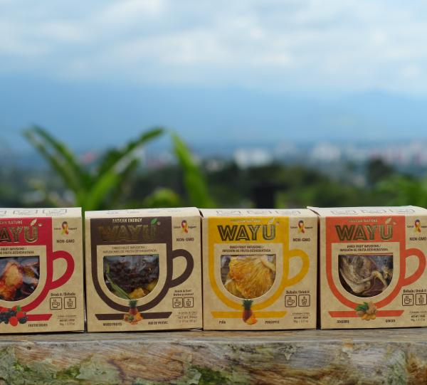 Red fruits Infusions Presentation. WAYÚ COLOMBIA S.A.S Colombian B2B