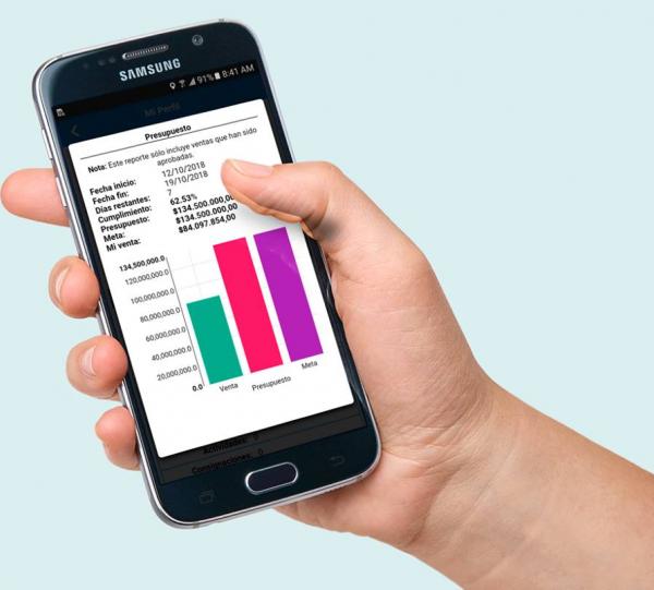 R-SALES "Remote Sales" Image