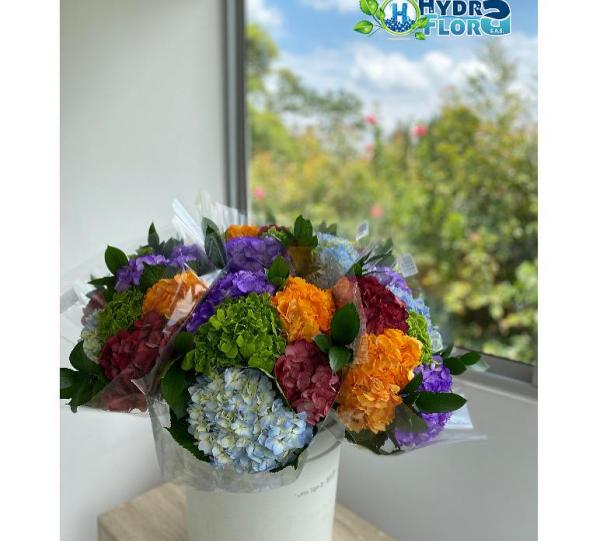 Hydrangea macrophylla Image