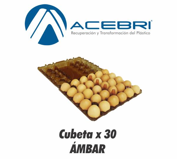 290 Egg Packaging x 30 - AMBAR Image