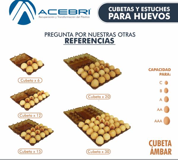 290 Egg Packaging x 30 - AMBAR Image