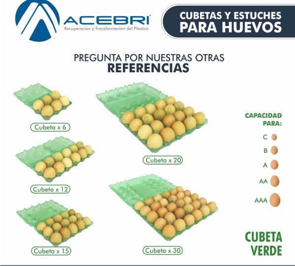 290 Egg Packaging x 30 - Green Image