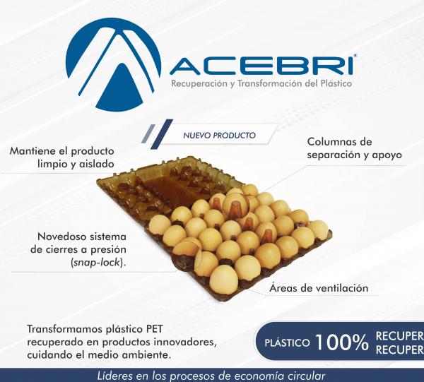 290 Egg Packaging x 30 - AMBAR Image