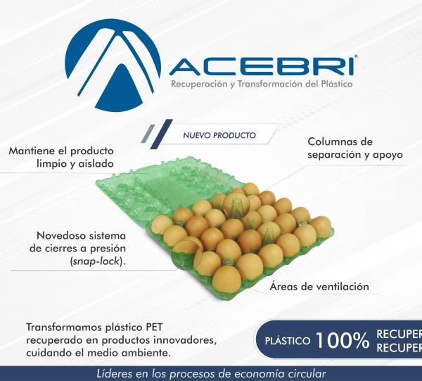 290 Egg Packaging x 30 - Green Image