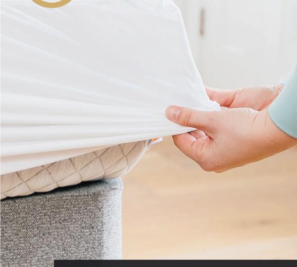 Mattress and pillow protectors Image